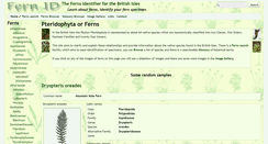 Desktop Screenshot of fernid.info