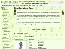 Tablet Screenshot of fernid.info